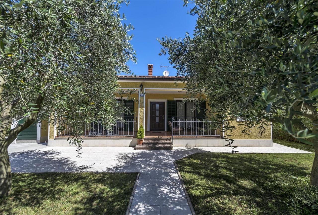 Spacious Three-Bedroom Villa Balun With Pool Poreč Buitenkant foto